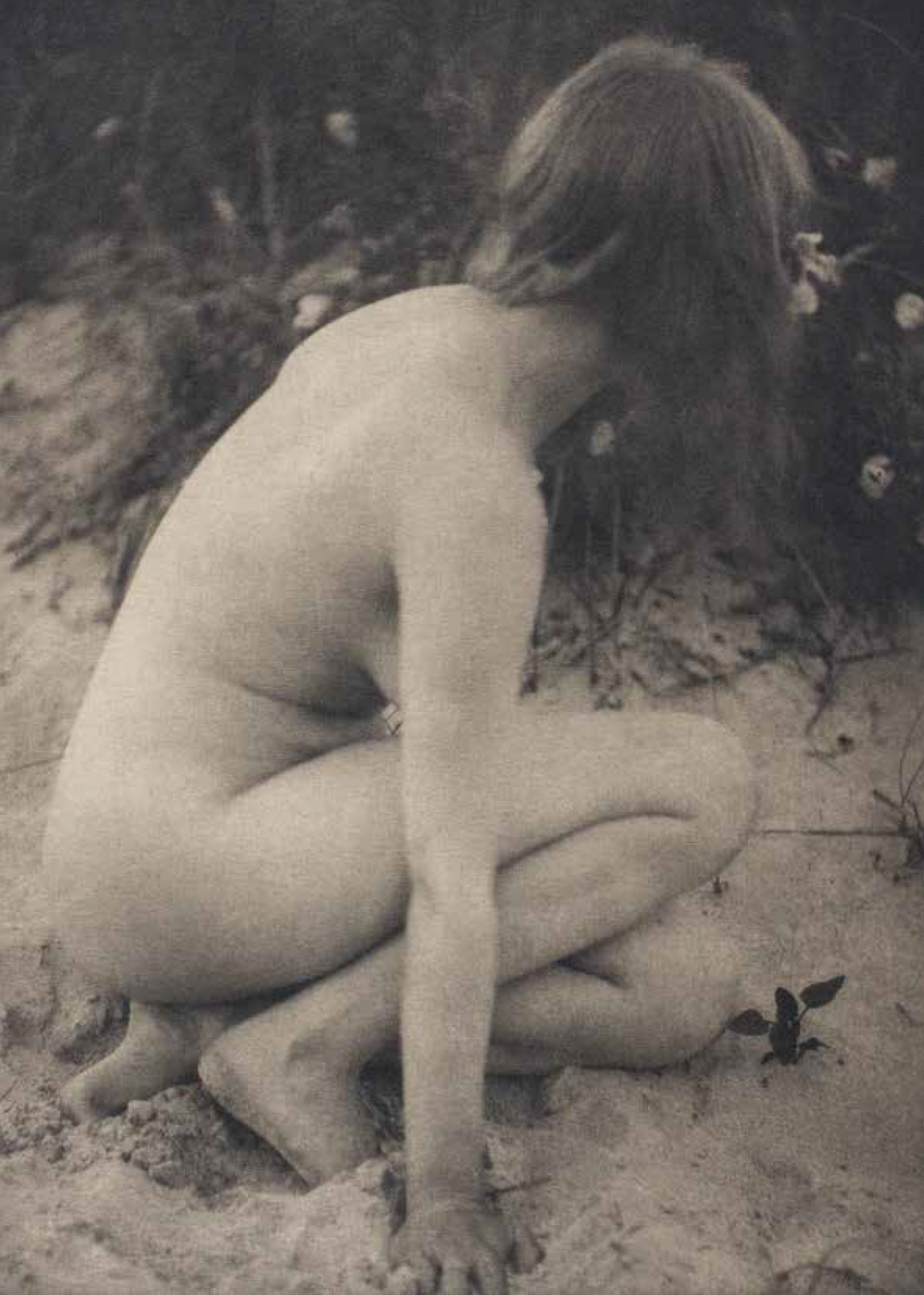 Alice Boughton, Sand and Wild Roses, 1909, Paris, musée d’Orsay. Photo © Musée d’Orsay, dist. RMN Grand Palais / Patrice Schmidt