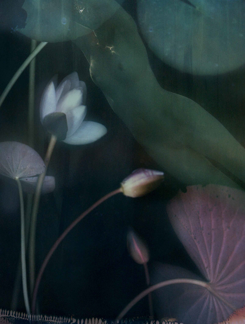 © Liliroze
